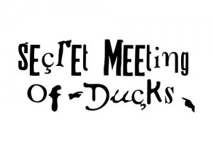 Secret Meeting of Ducks in stylized font, black text
